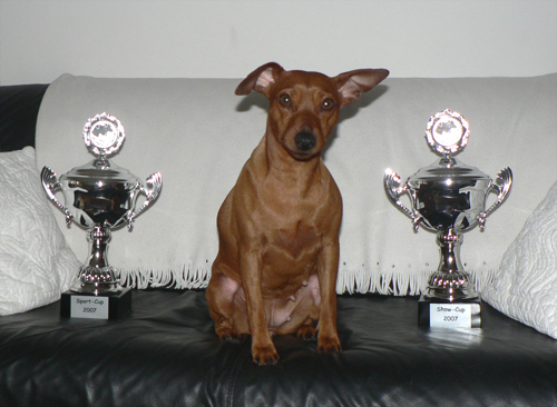 Lara gewinnt den Sportcup 2007